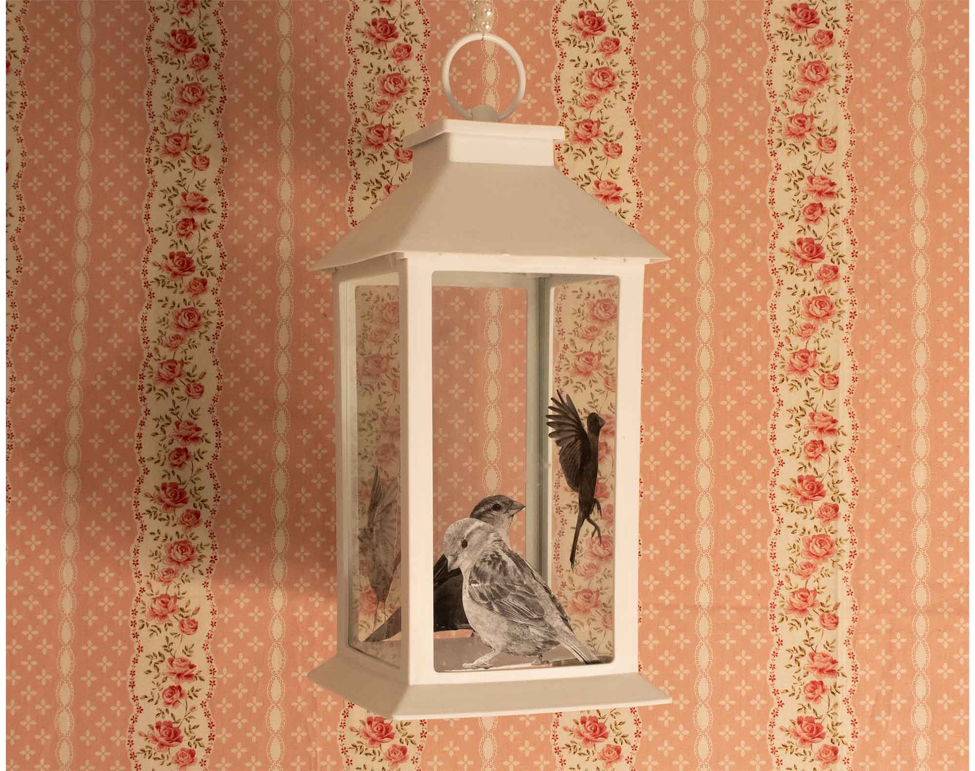 Black and white paper birds pasted inside each panel of a white plastic lantern hanging in front of a pink striped flower pattern