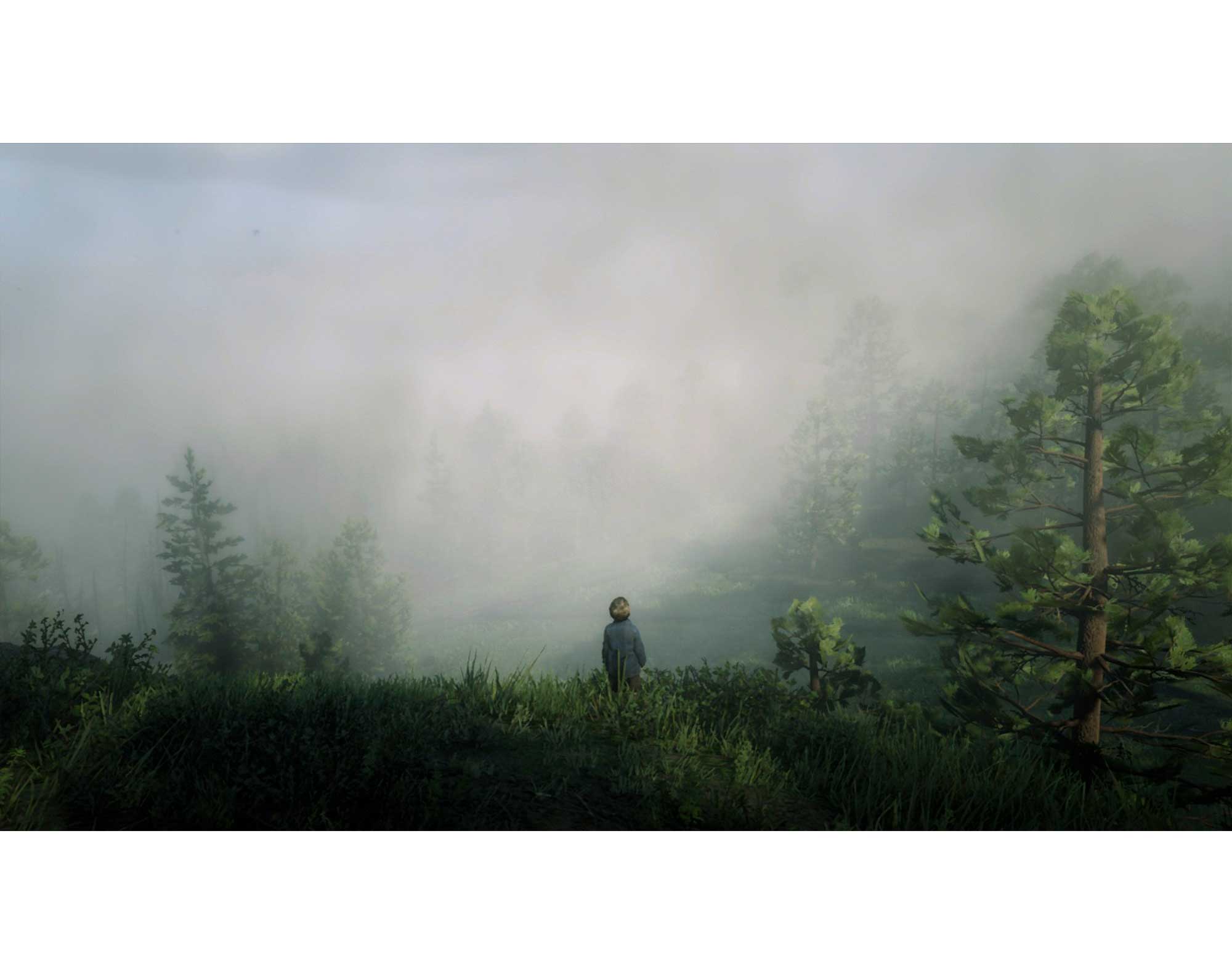 Red Dead Redemption 2 video game photo taken on in-game camera