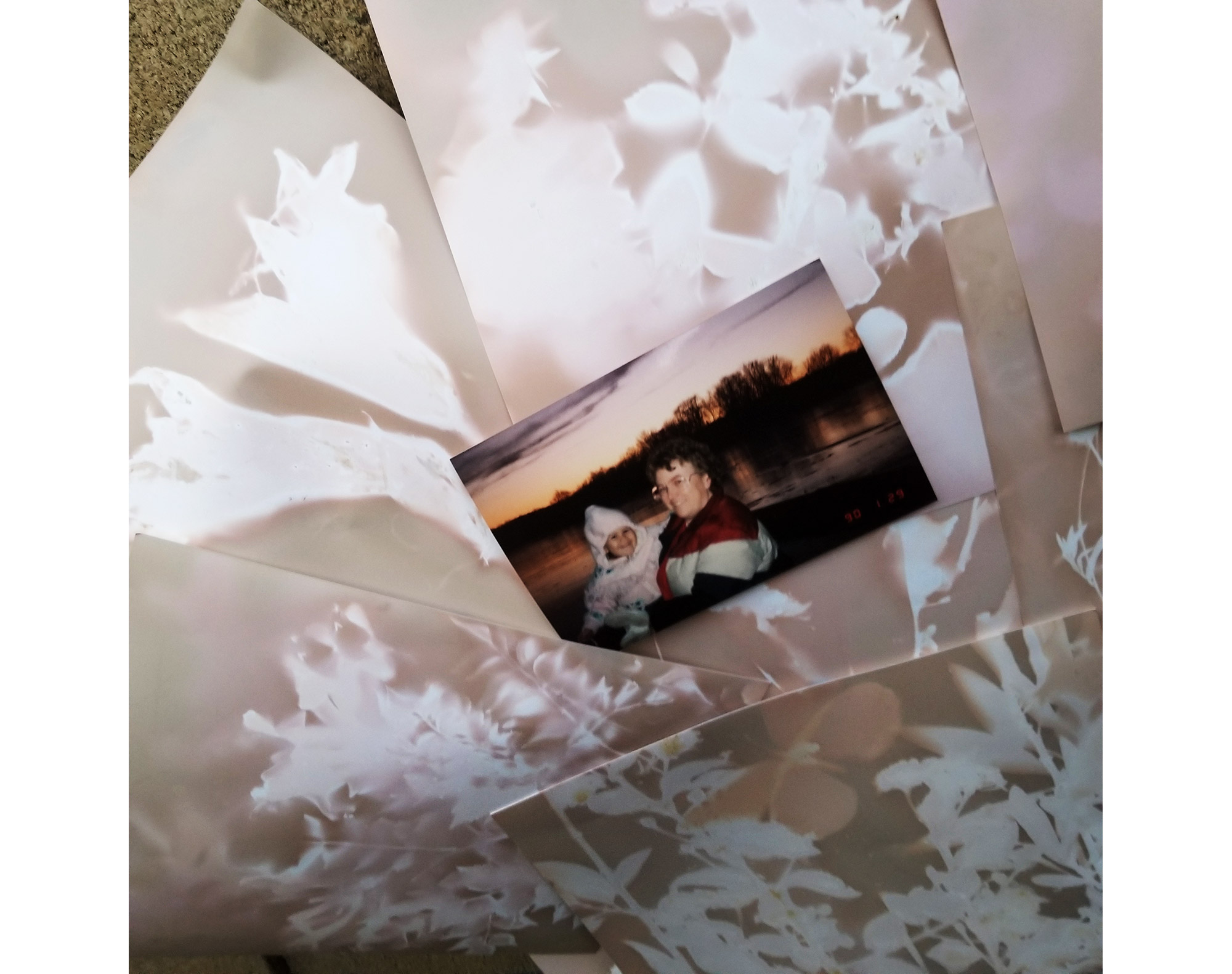 Close up showing photo of family over lumen prints. Family in photo show infant in lap of grandmother next grandfather and a teen sitting amused on his mother’s lap next to grandmother. White images of flowers and plants are formed over pastel pink yellow, and purple background, wall exposed behind prints. Plant appears to flows up in a vine with leaves and flowers to the left of photo.