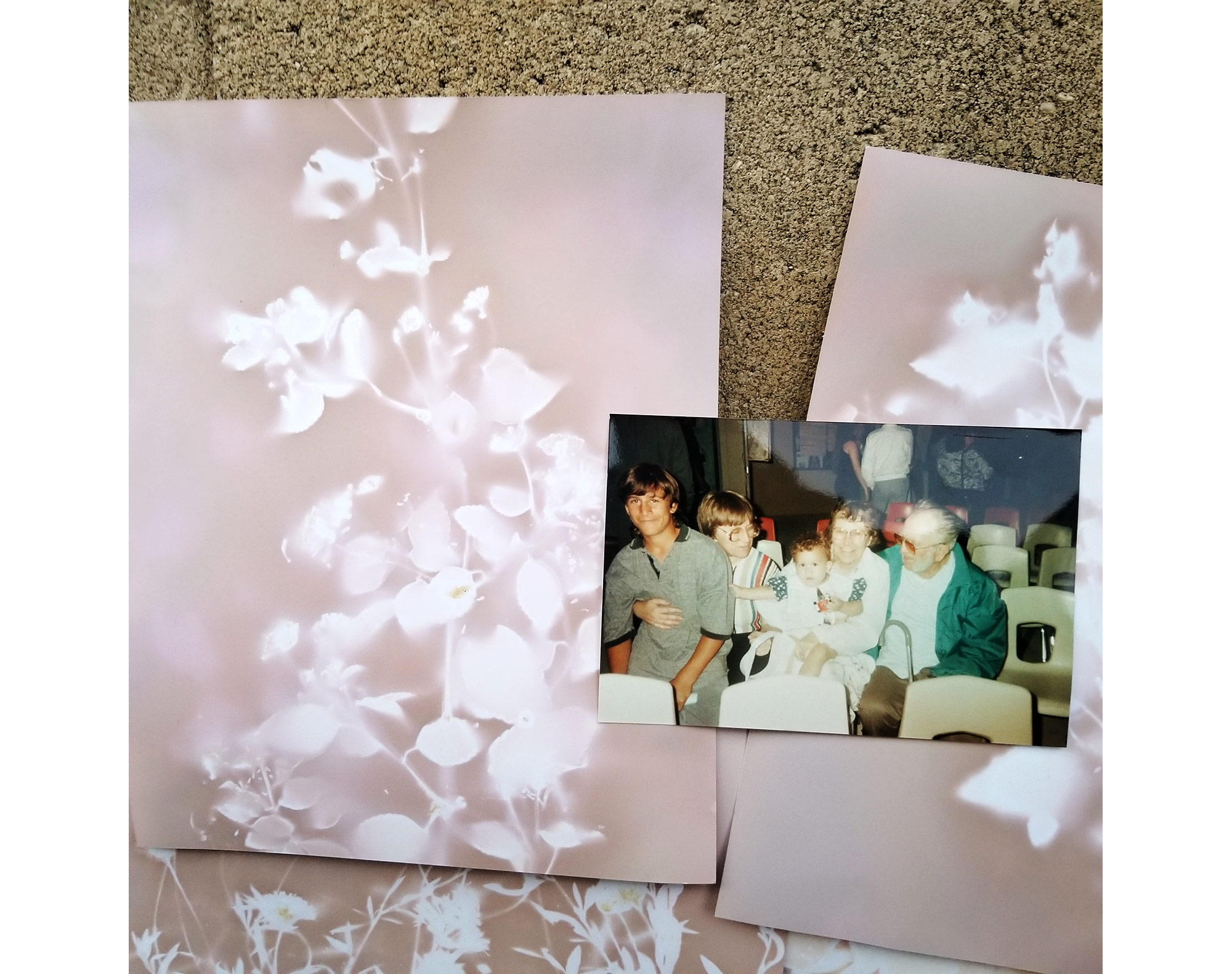 Close up showing photo of mom and young child in cold weather outfits at waterfront is placed in over lumen prints. White images of flowers and plants are formed over pastel pink yellow, and purple background. 