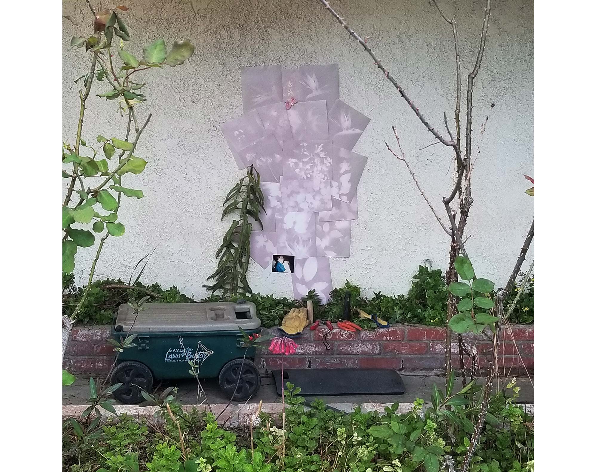 Pink/Purple plant made of lumen prints and one photo with gardening tools and work gloves in garden in front of prints. In front of flower bed there is tool wagon and a pad to kneel on and work.  In the foreground is another flower bed.